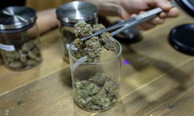 Nieuwe regels voor cannabisclubs in Malta