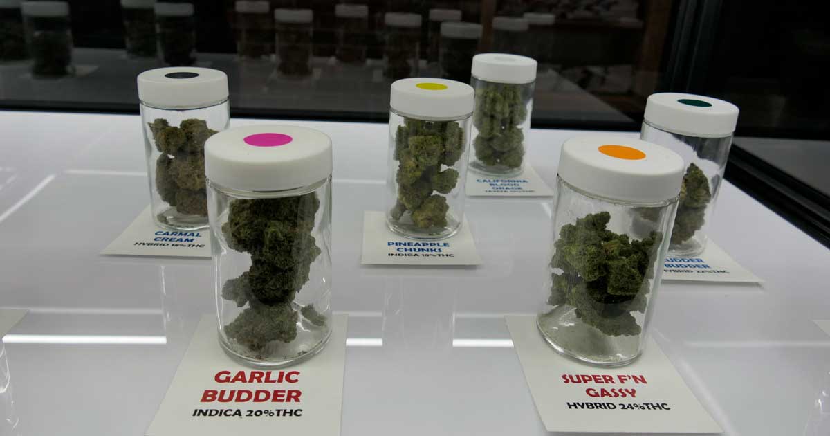 Legale cannabis in Minnesota