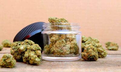 Duurzame regulering van cannabis