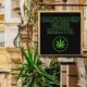 Cannabisclubs in Malta