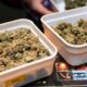 Experimenteren met legale cannabis in Nederland