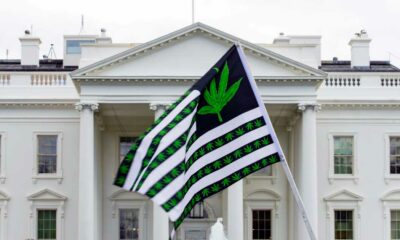 President Biden verleent gratie aan cannabis