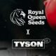Royal Queen Zaden en Mike Tyson