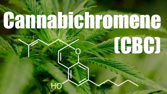 Cannabichromene