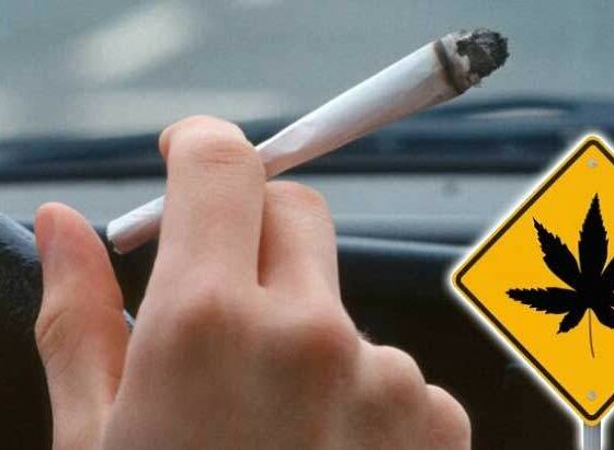 cannabis en autorijden