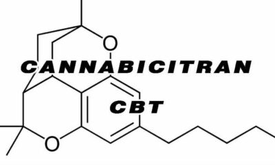 Cannabicitran cannabinoïde CBT