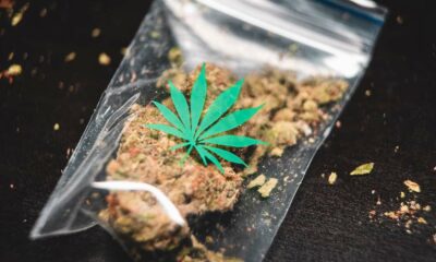 Gids voor soorten cannabisproducten