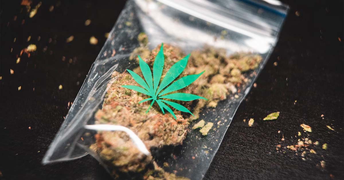 Gids voor soorten cannabisproducten