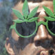 Verschillen tussen decriminalisering en legalisering van cannabis