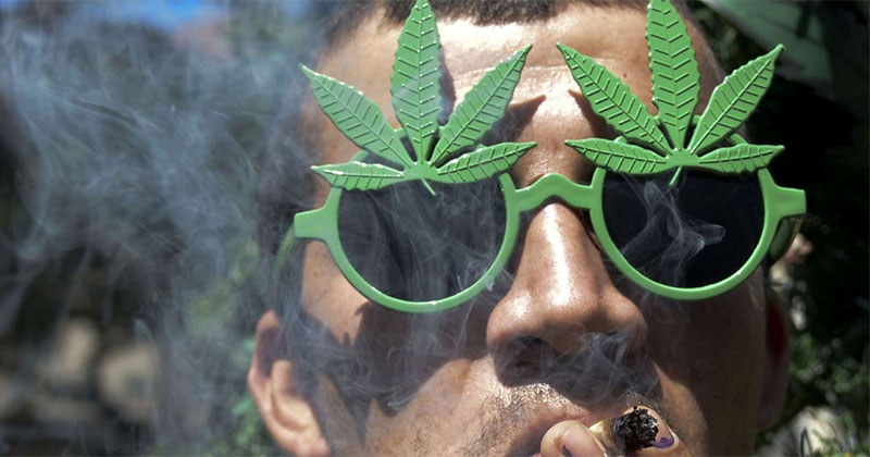 Verschillen tussen decriminalisering en legalisering van cannabis
