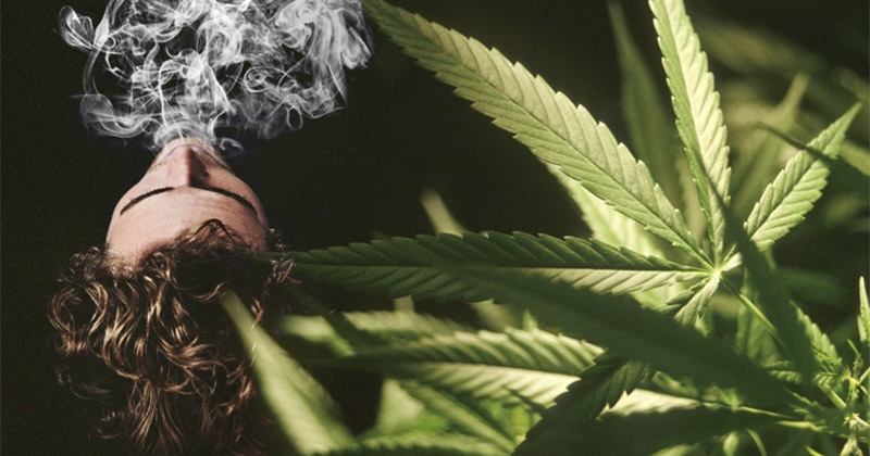 Is cannabis verslavend?