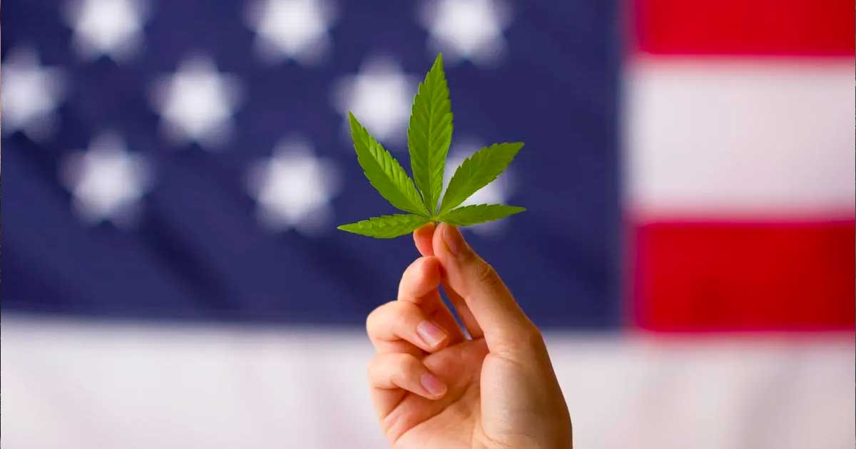 Herclassificatie van cannabis in de VS