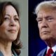 Legalisering van cannabis in de Verenigde Staten met Kamala Harris of Donald Trump