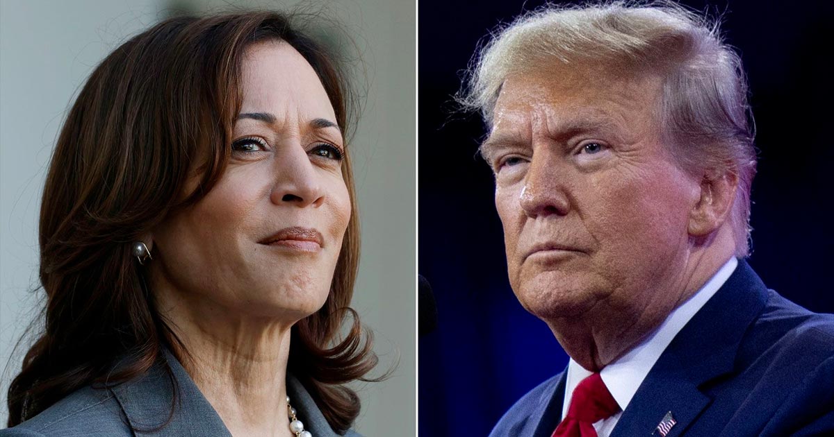 Legalisering van cannabis in de Verenigde Staten met Kamala Harris of Donald Trump