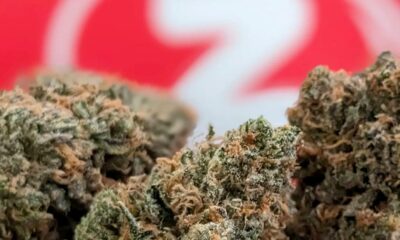 Zkittlez variëteit in Duitsland