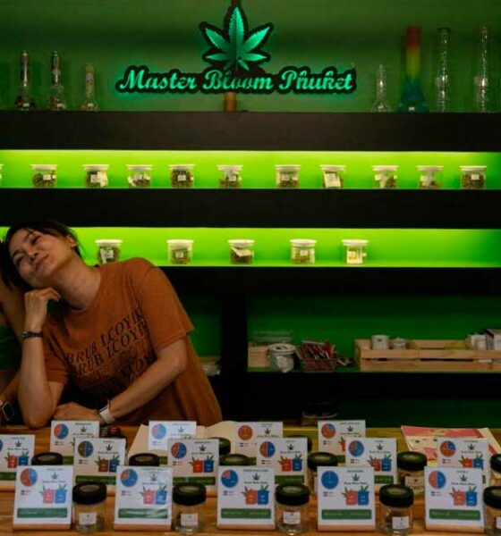 Regulering van legale cannabis in Thailand