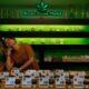 Regulering van legale cannabis in Thailand