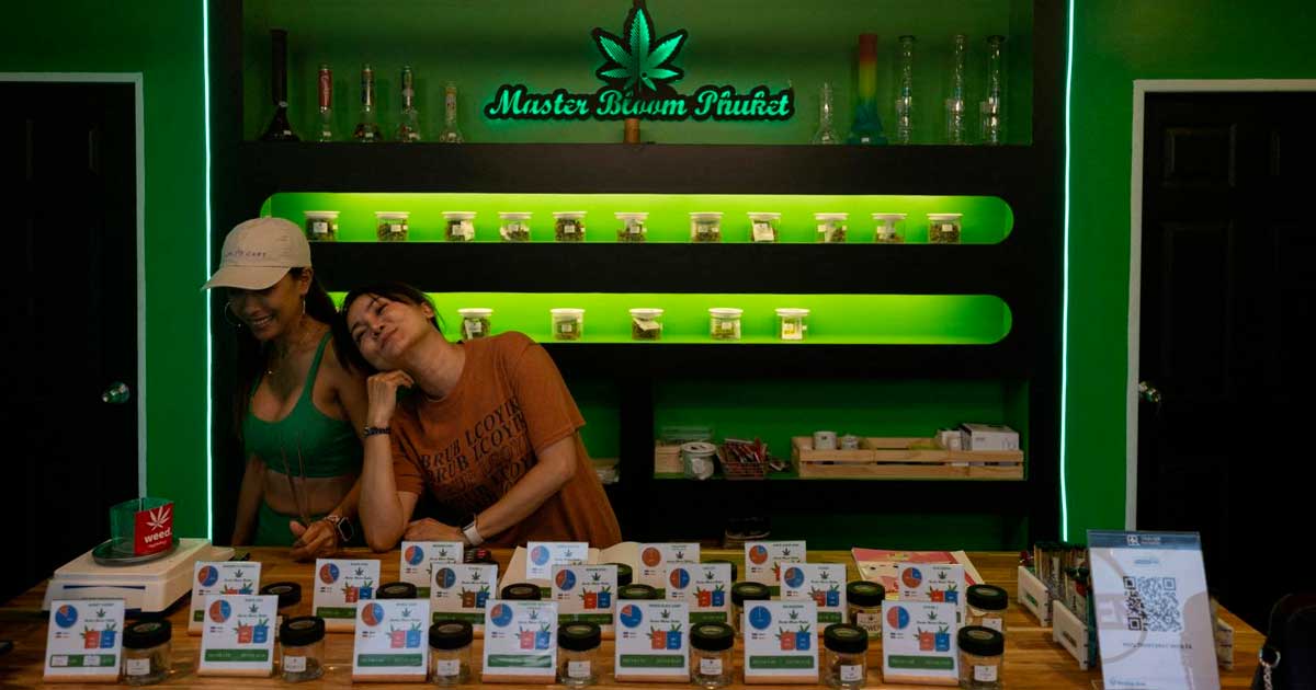 Regulering van legale cannabis in Thailand