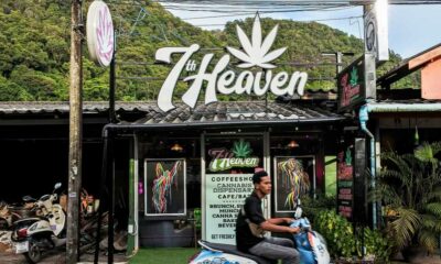 Regulering van cannabis in Thailand