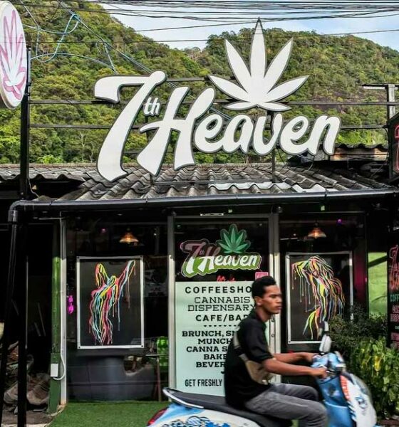 Regulering van cannabis in Thailand