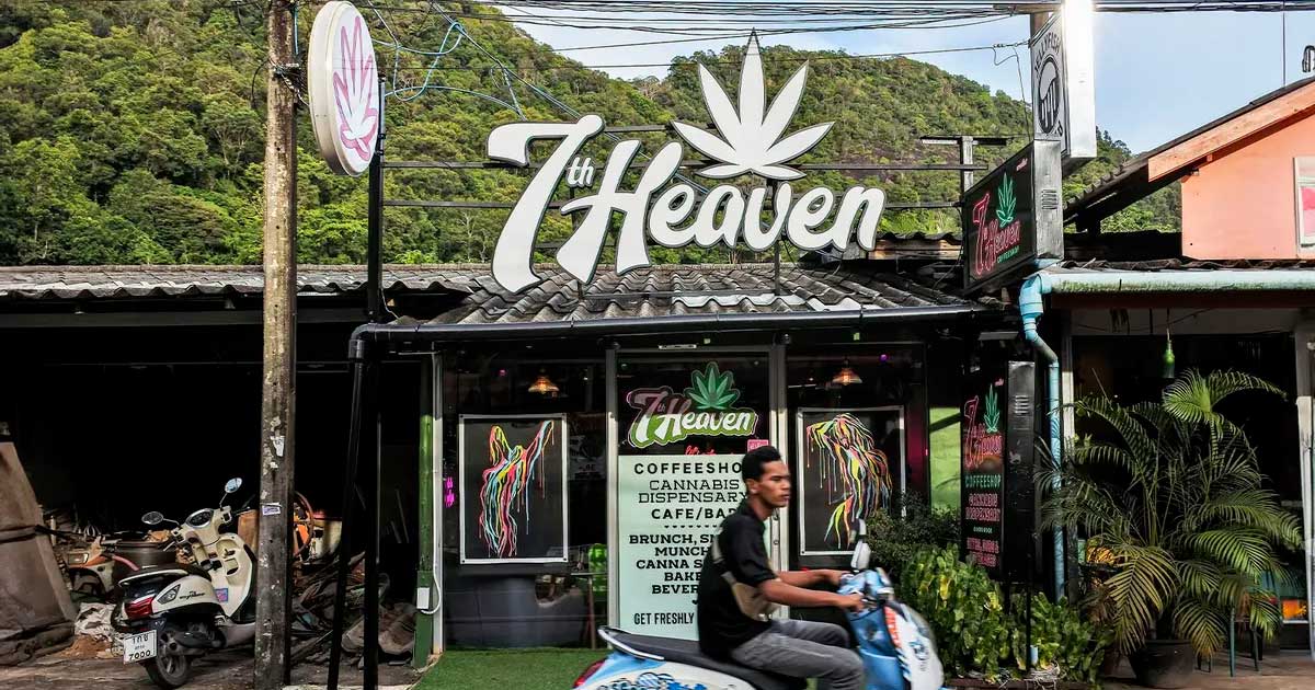 Regulering van cannabis in Thailand