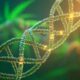 Cannabis en DNA