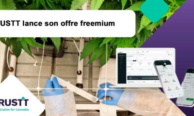 Vertrouwen freemium