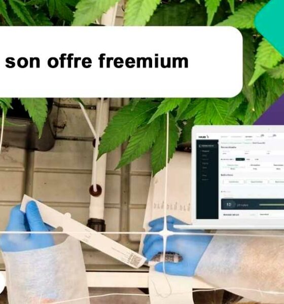 Vertrouwen freemium