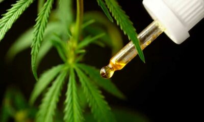 Medicinale cannabis in Brazilië in 2024