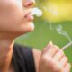 Cannabisgebruik daalt onder tieners