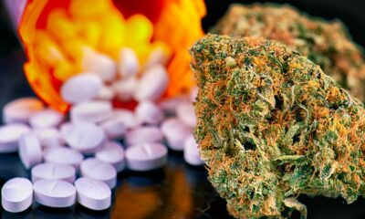 Medicinale cannabis en opioïden