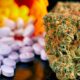 Medicinale cannabis en opioïden