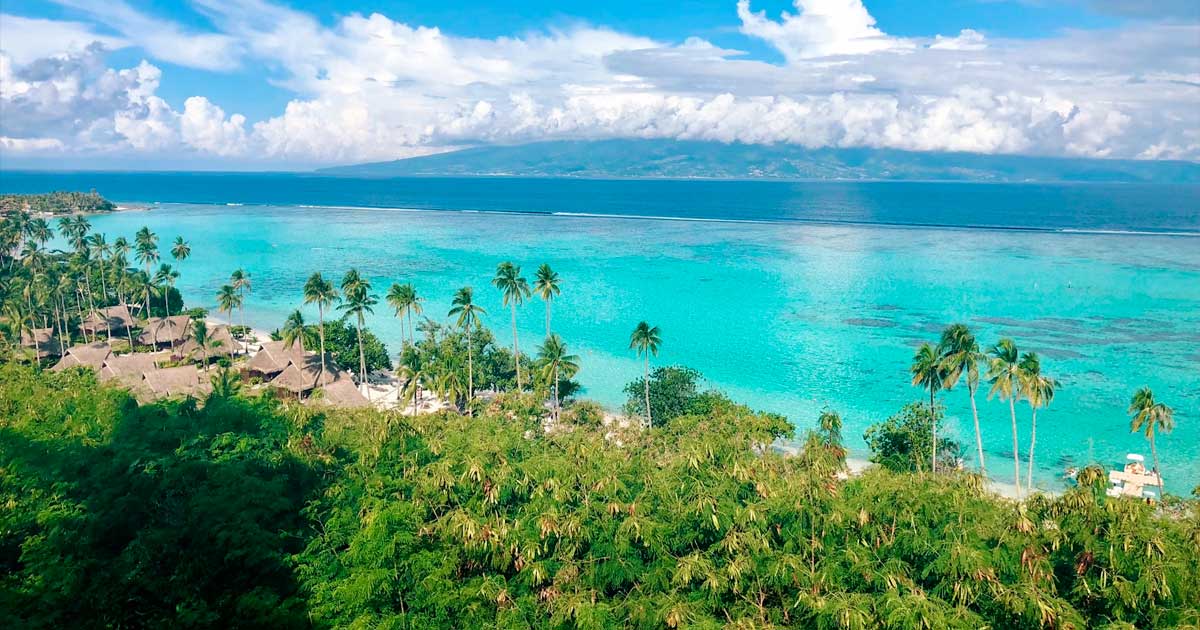 CBD-wetgeving in Polynesië