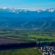 Hennep kweken in Kazachstan