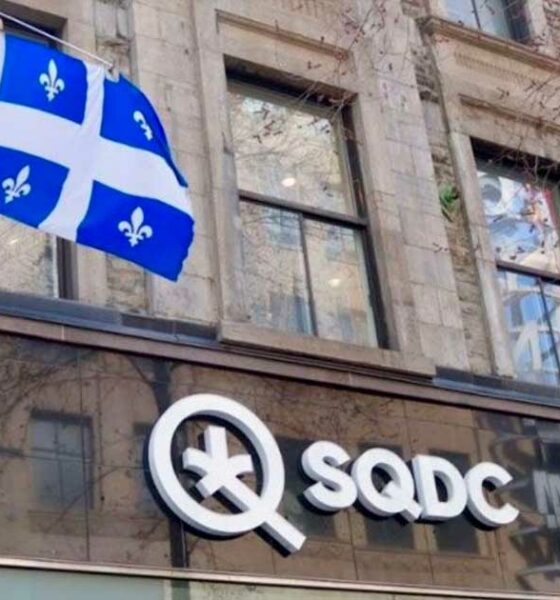 Cannabistrends in Quebec