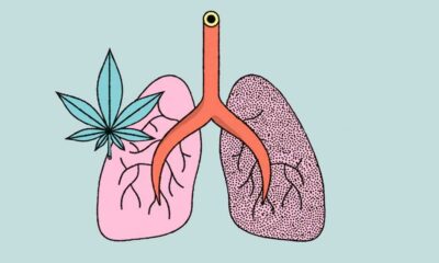 Onderzoek naar het effect van cannabis en tabak op de longen