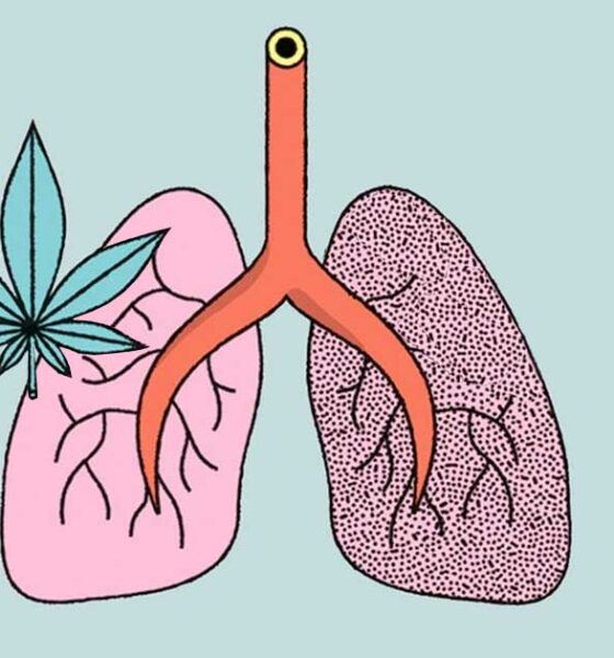 Onderzoek naar het effect van cannabis en tabak op de longen