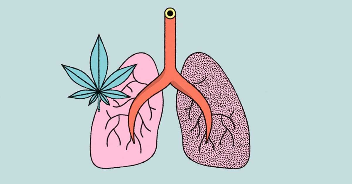 Onderzoek naar het effect van cannabis en tabak op de longen