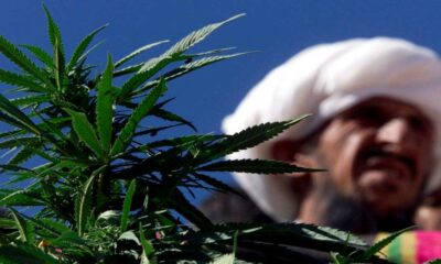 Hennep en medicinale cannabis in Pakistan