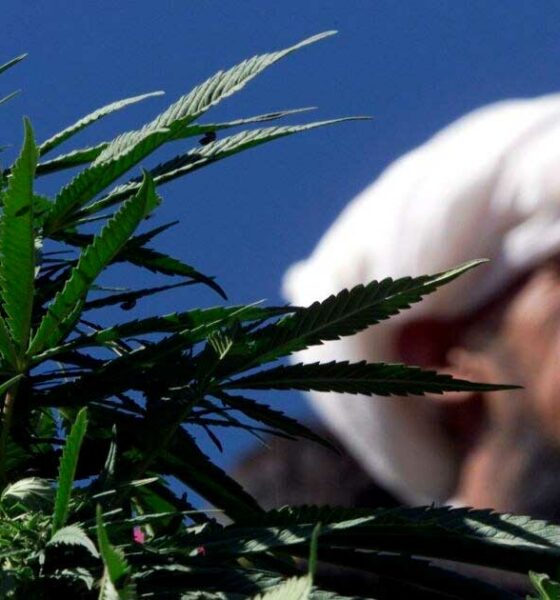 Hennep en medicinale cannabis in Pakistan