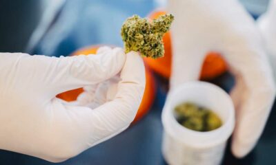 Cannabis in apotheken in Duitsland