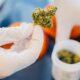 Cannabis in apotheken in Duitsland