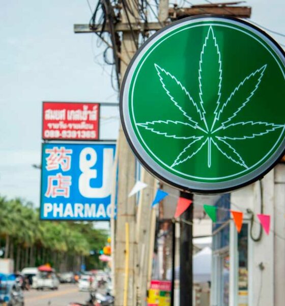 Medische regulering van cannabis in Thailand