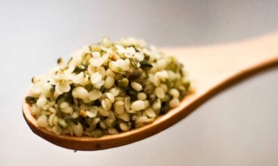 Allergie voor hennepzaad