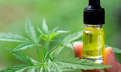 België vergoedt CBD voor epilepsie