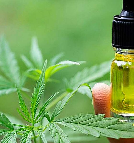 België vergoedt CBD voor epilepsie