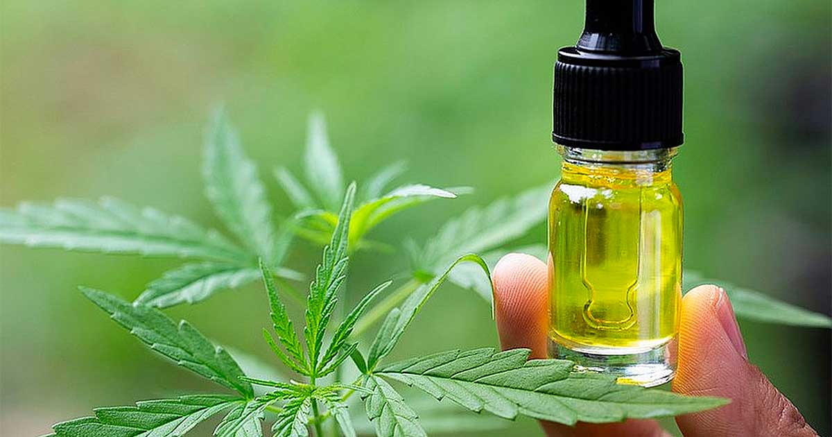 België vergoedt CBD voor epilepsie
