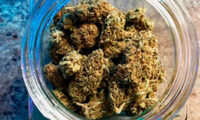 Recht op cannabis voor Duitse gevangenen
