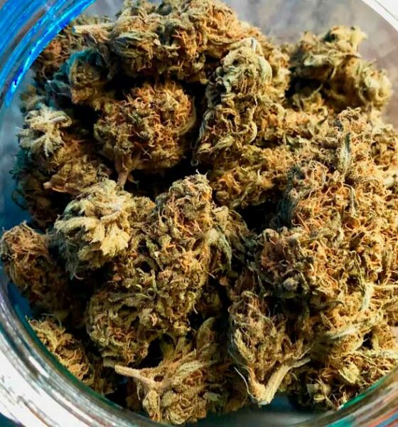 Recht op cannabis voor Duitse gevangenen