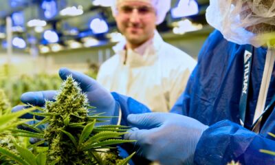 Tilray levert medische cannabis aan Italië